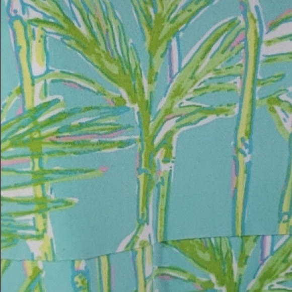 Lilly Pulitzer Green Blue Kelsea Bamboo Print Dress - Picture 6 of 8